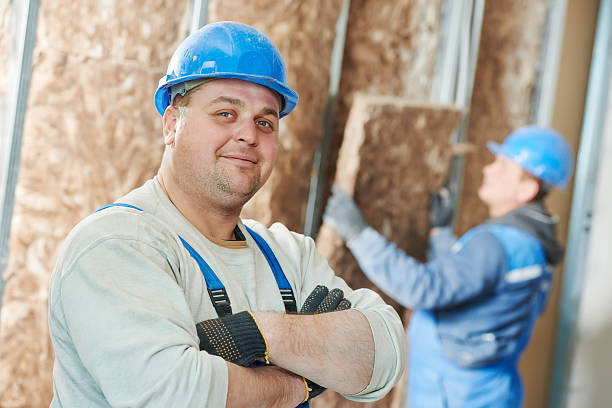 Best DIY Insulation Kits and Guidance in Alliance, OH