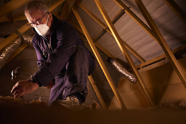 Best Eco-Friendly Insulation in Alliance, OH
