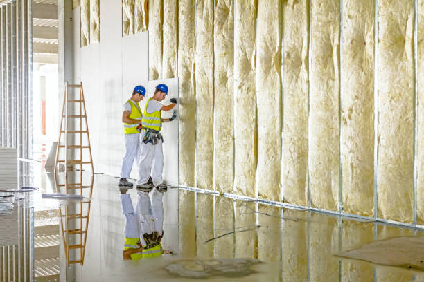 Best Specialized Insulation Services in Alliance, OH